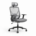 Mesh ergonomic office chair with adjustable headrest and armrests